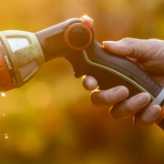 Hosepipe ban