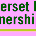 Somerset Bus Partnership